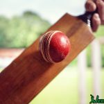 JeetBuzz Online Cricket Betting Concept